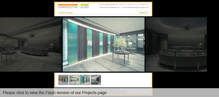 View the Flash Projects Page